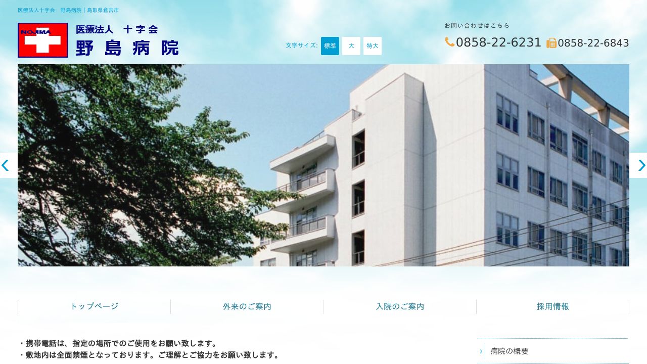 医療法人十字会 野島病院