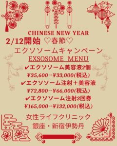 CHINESE NEW YEAR SALE